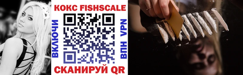 MEGA ССЫЛКА  Борзя  Cocaine Fish Scale 