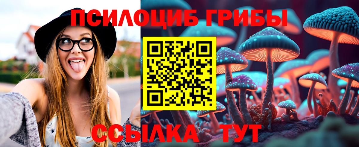 Галлюциногенные грибы Magic Shrooms  Псилоцибиновые грибы ЛСД  хочу   Борзя 