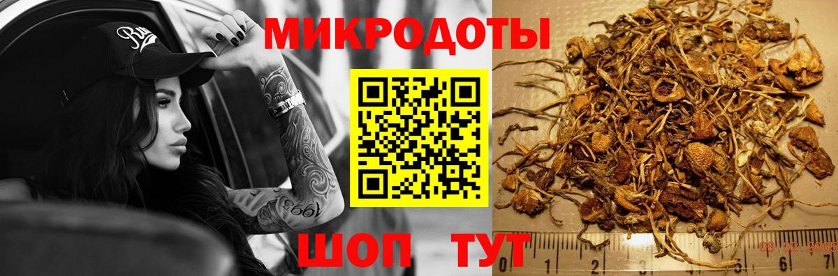 Псилоцибиновые грибы мухоморы Борзя