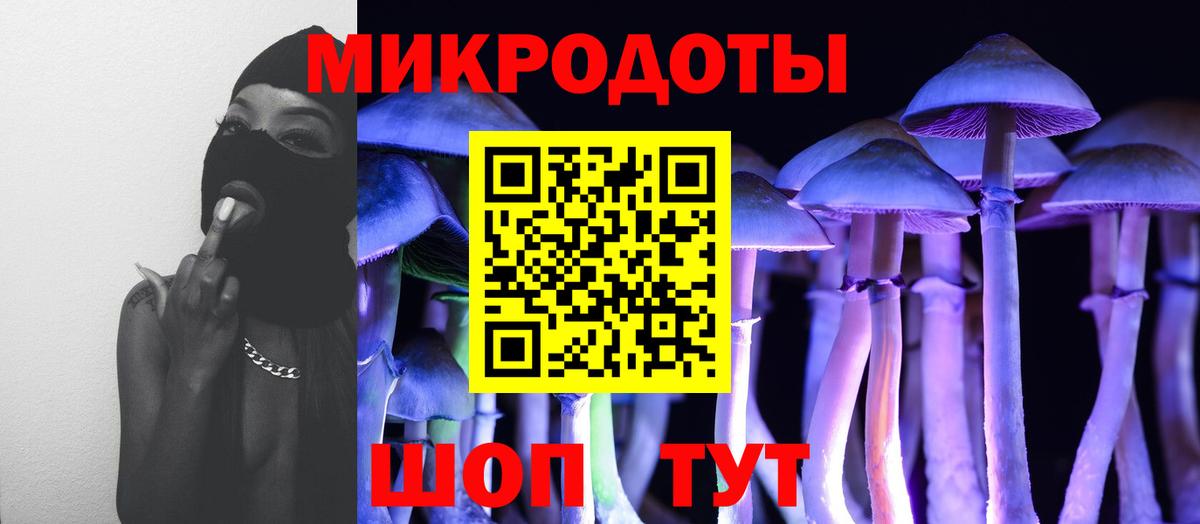 Псилоцибиновые грибы мицелий  закладки  Борзя  Вход с VPN 