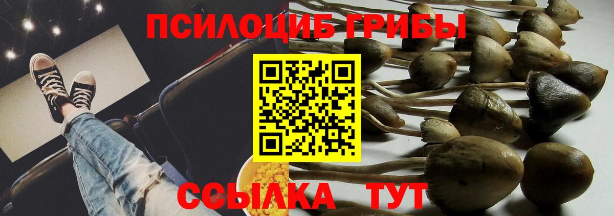 Псилоцибиновые грибы ЛСД Борзя
